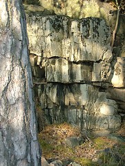 Image showing Rock and tree