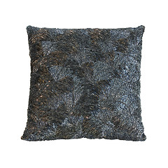 Image showing Shiny pillow