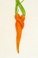 Image showing Carrots pair