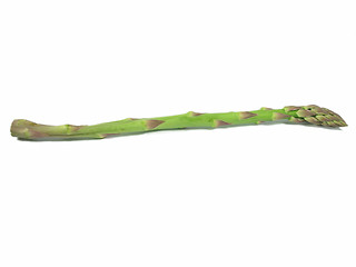 Image showing vegetable - asparagus