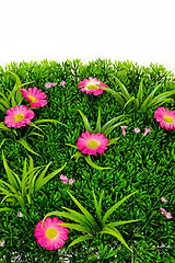 Image showing Plastic grass