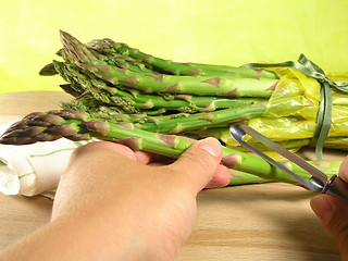 Image showing vegetable - asparagus