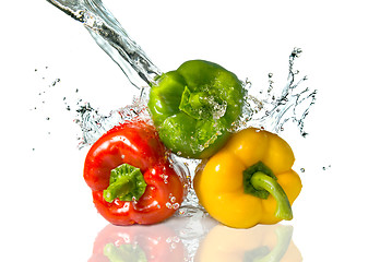 Image showing red, yellow, green pepper with water splash isolated on white