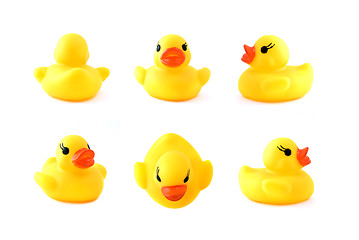 Image showing rubber yellow duck isolated on white