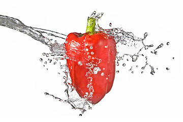 Image showing fresh water splash on red sweet pepper isolated on white