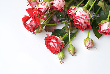 Image showing red rose bouquet on white