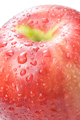 Image showing red apple with water drops isolated on white