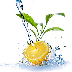 Image showing water drops on lemon with green leaves isolated on white