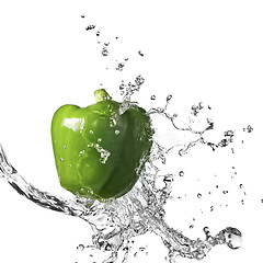 Image showing fresh water splash on green sweet pepper isolated on white