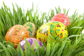 Image showing color easter eggs in nest from green grass on white