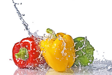 Image showing red, yellow and green pepper with water splash isolated on white