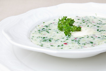 Image showing cold soup with choped vegetables and meat on the plate