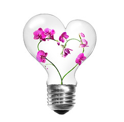 Image showing Natural energy concept. Light bulb with orchids in shape of hear