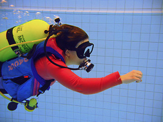 Image showing Scuba Diving Training