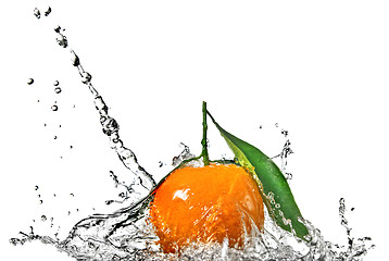 Image showing Tangerine with green leaves and water splash isolated on white