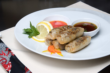 Image showing chinese rolls with meat on the plate