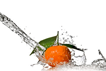 Image showing Tangerine with green leaves and water splash isolated on white
