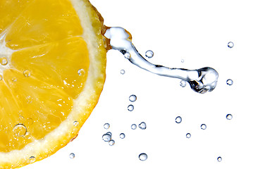 Image showing fresh water drops on lemon isolated on white