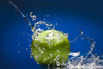 Image showing Green apple with water splash on blue background