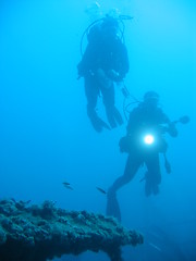 Image showing Scuba Divers descending