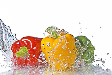 Image showing red, yellow and green pepper with water splash isolated on white