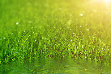 Image showing green grass background