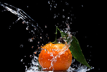 Image showing Tangerine with green leaves and water splash isolated on black