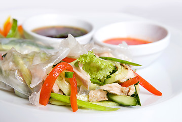 Image showing chinese rolls with vegetables on the plate