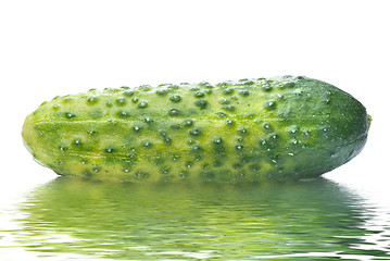 Image showing green cucumber with water drops isolated on white