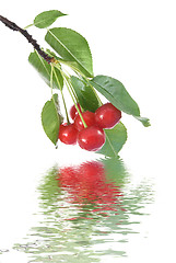 Image showing red cherry with leaves and water drops isolated on white