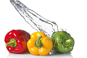 Image showing red, yellow and green pepper with water splash isolated on white