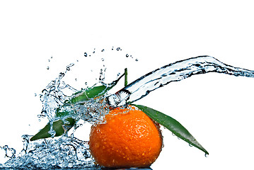 Image showing Tangerine with green leaves and water splash isolated on white