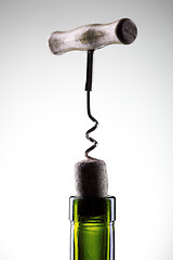 Image showing Corkscrew inserted into a wine fuse in a bottle on white