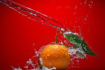 Image showing Tangerine with green leaves and water splash on red background