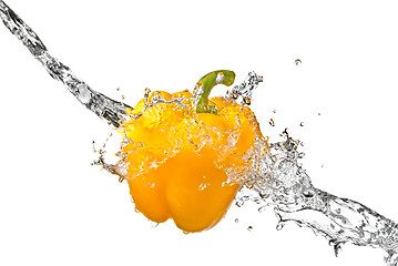 Image showing fresh water splash on yellow sweet pepper isolated on white