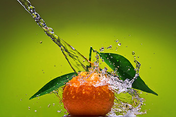 Image showing Tangerine with green leaves and water splash on green background