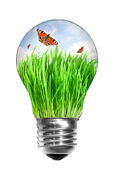 Image showing Natural energy concept. Light bulb with summer meadow and butter