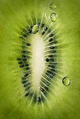 Image showing Macro of kiwi with water drops background