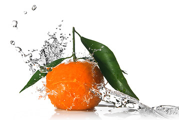 Image showing Tangerine with water splash isolated on white 