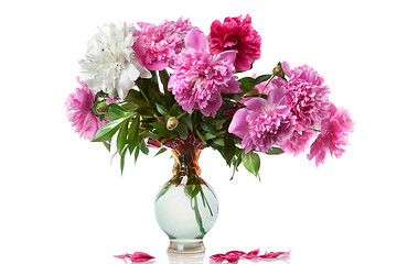 Image showing boquet of peony in the vase isolated on white