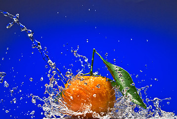 Image showing Tangerine with green leaves and water splash on blue background