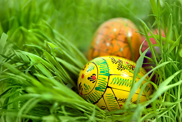 Image showing color easter eggs in nest from green grass