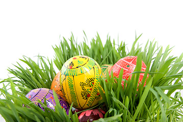 Image showing color easter eggs in nest from green grass on white