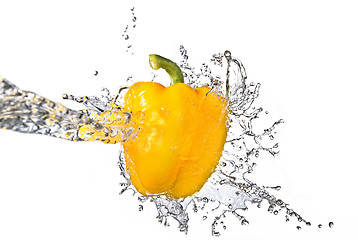 Image showing fresh water splash on yellow sweet pepper isolated on white