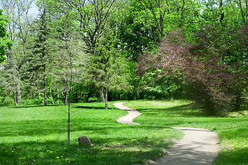 Image showing green park in spring