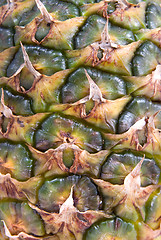 Image showing pineapple natural texture