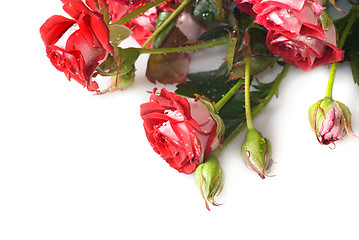 Image showing red rose bouquet isolated on white