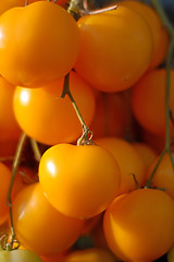 Image showing branch of yellow cherry tomato