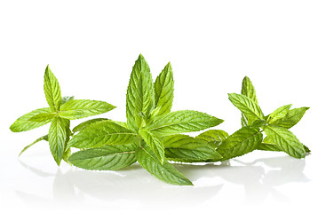 Image showing green mint isolated on white