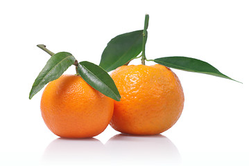 Image showing Tangerines with green leaves isolated on white